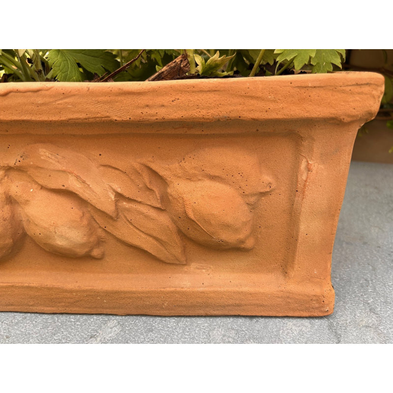 Zachariah Fiberglass Planter Box, 18 cm H x 47 cm W x 22 cm D