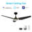 Alasdhair 56'' Ceiling Fan with LED Lights