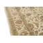 Wool Oriental Area Rug in Ivory