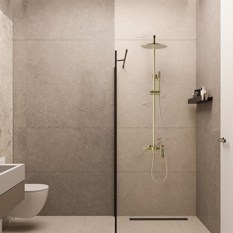 Système de douche luxueux avec pomme de douche à valve brute