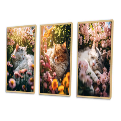 Fluffy Cat Sleeping Sunny Flower Garden III - Animals Cat Art Set Of 3 Pieces