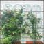 Paquet de 2 treillis de jardin en métal 86,7 po x 19,7 po antirouille pour plantes grimpantes, vert