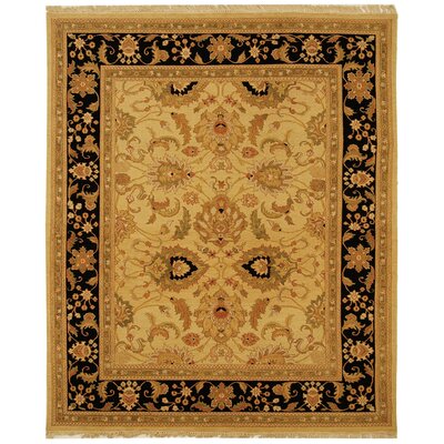 Linwood Oriental Handwoven Wool Light Gold/Black Area Rug -  Darby Home Co, DRBC6207 32886035