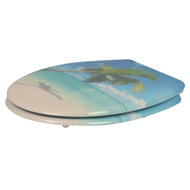 Soft Close Elongated Toilet Seat