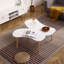 Table basse avec pieds en bois massif