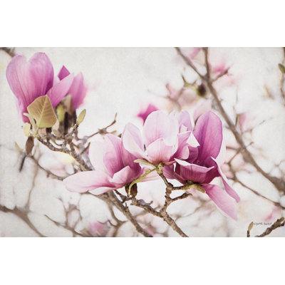 Spring Is In The Air III by Elizabeth Urquhart - Wrapped Canvas Print