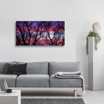 «Sunrise In The Trees» par Darren White