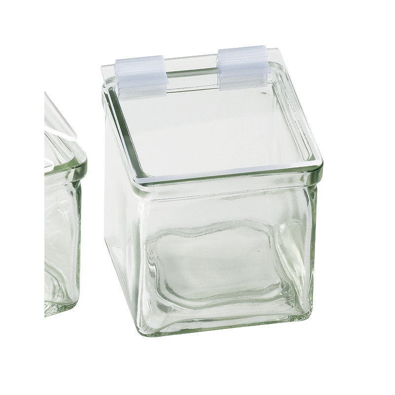 Hinged Square Plastic Lid