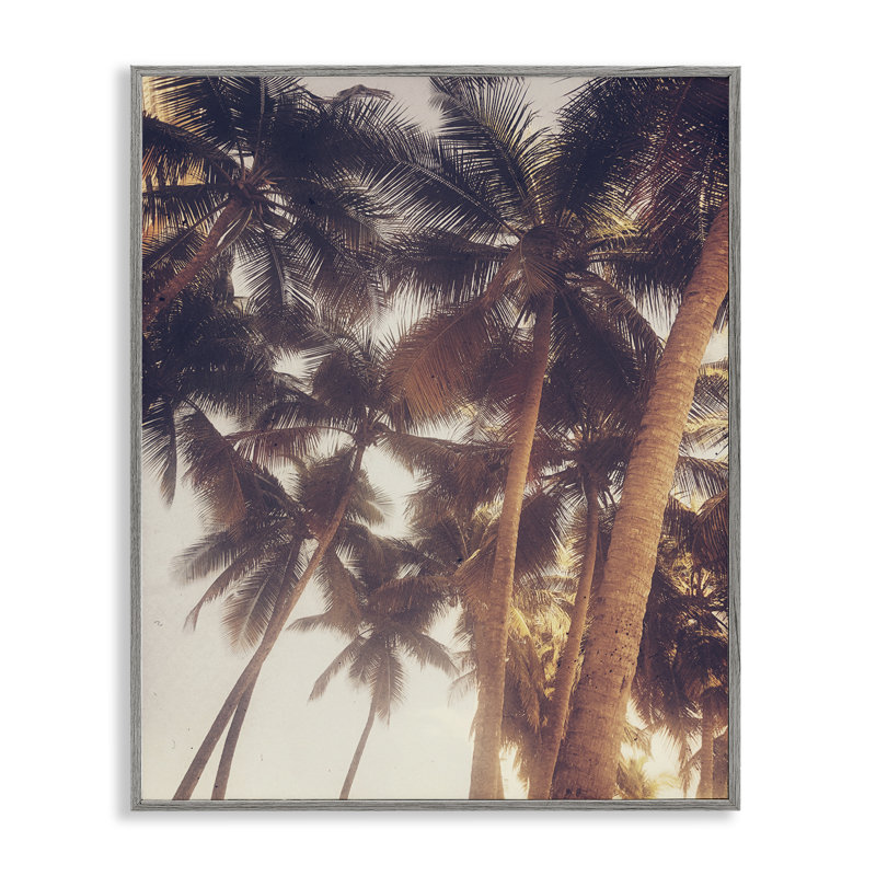 «Sunlit Palm Tree», estampe numérique encadrée par Acosta bf-019, Estampe numérique Farmhouse, H 14 po x l 11 po