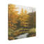 Art mural sur toile tendue - "Autumnal Grace I" de Michael Willett pour décoration de salon, de chambre à coucher ou de bureau - 35 x 35