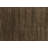 Intrigue Indoor Rug-7149066