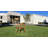 Alfresco Teak Armchair