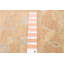 Tapis en cuivre 8 pi 1 po x 9 pi 11 po Peshawar Finest