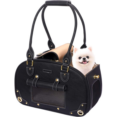 Dantley Plastic Pet Carrier