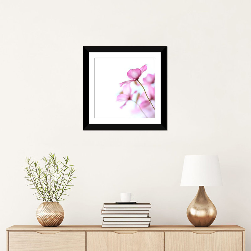 Clematis rose, impression sur toile, Papier beaux-arts encadré noir, H 16 po x l 16 po x P 1 po, Blanc