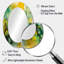 Green Balancing - Miroir mural moderne ovale-1747942181