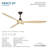 Pierce 65" Led Smart Ceiling Fan-116794811-116794814