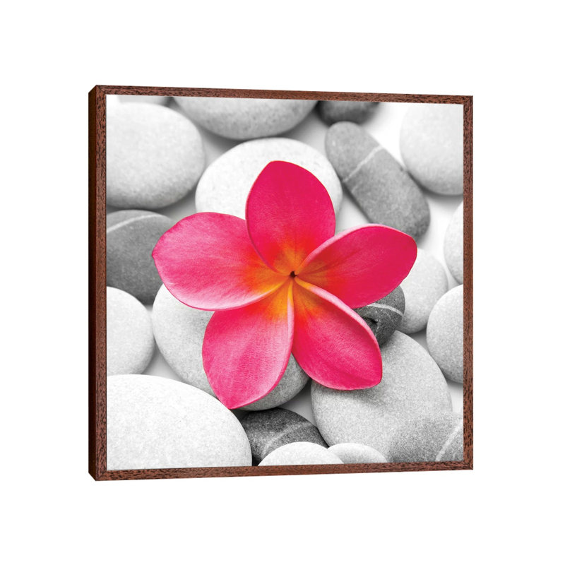 Zen Flower 1 Piece Wall Art on Canvas, 45.72 cm H x 45.72 cm W, Classic Wood Floater Framed