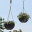 Boxdale Hanging Planter - Set of 2-650146786-650146792