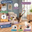 Ce kit de 12 baguettes interactives 4 en 1 pour chatons d'intérieur comprend une ventouse améliorée, un bâtonnet de rechange pour chat et 2 types de jouets à suspendre à la porte.