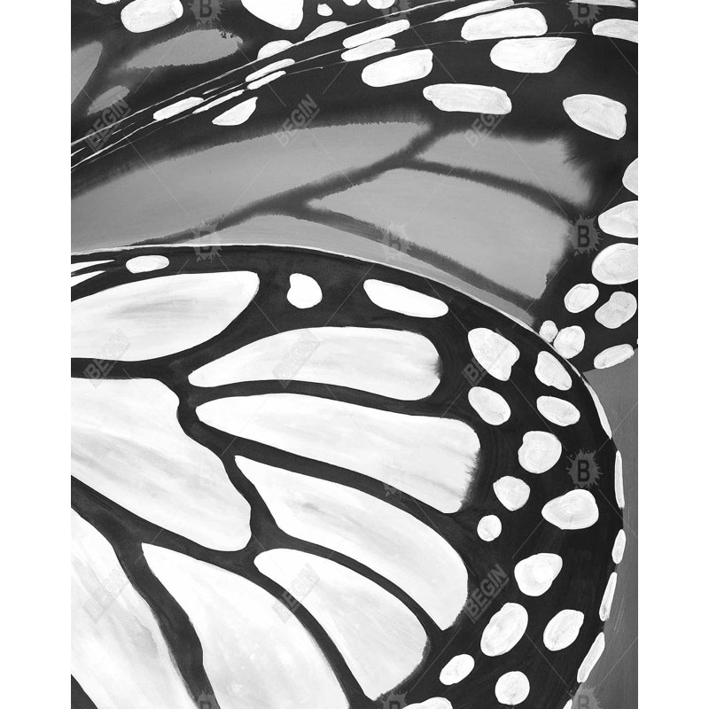 Butterfly wings closeup - 48"x60" Framed canvas