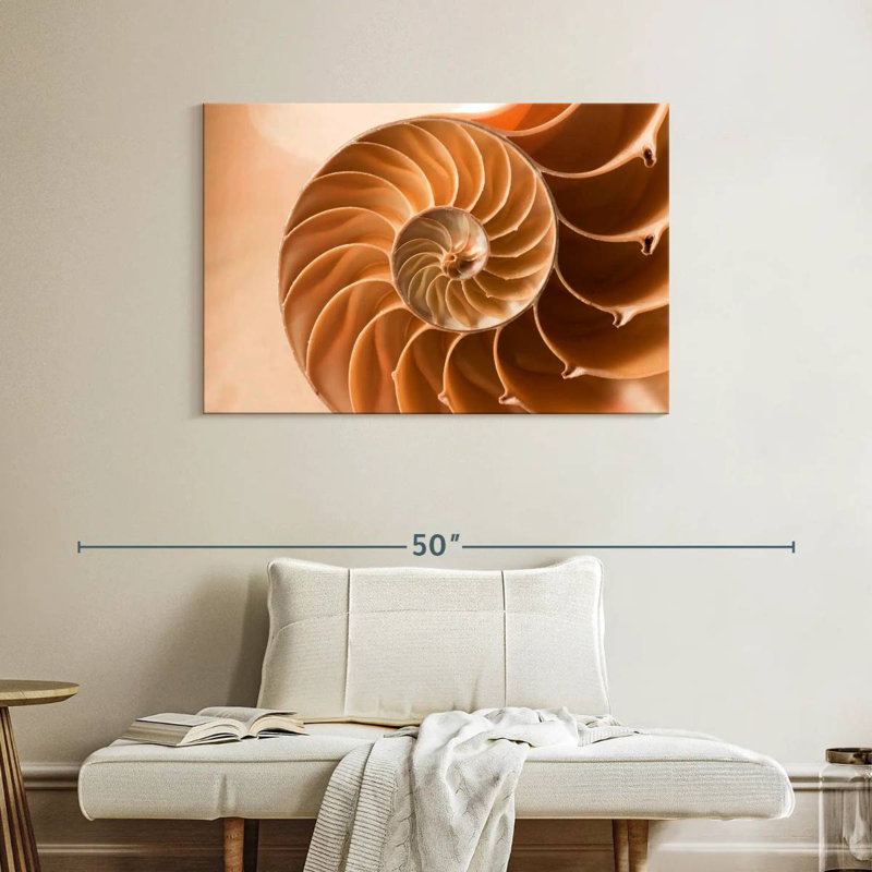 Aletra Nautilus Shell Inside, 26" H x 39" W