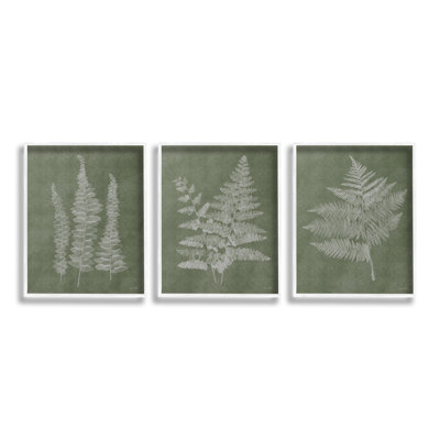 «Vintage Fern Silhouettes Single Photo Frame» par Annie Lapoint, 3 pièces sur toile
