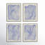 Netting Print by Jacques Pilon-861194434-861194489