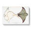 Spotted Stingray by John Edward Gray - Wrapped Canvas-55318352