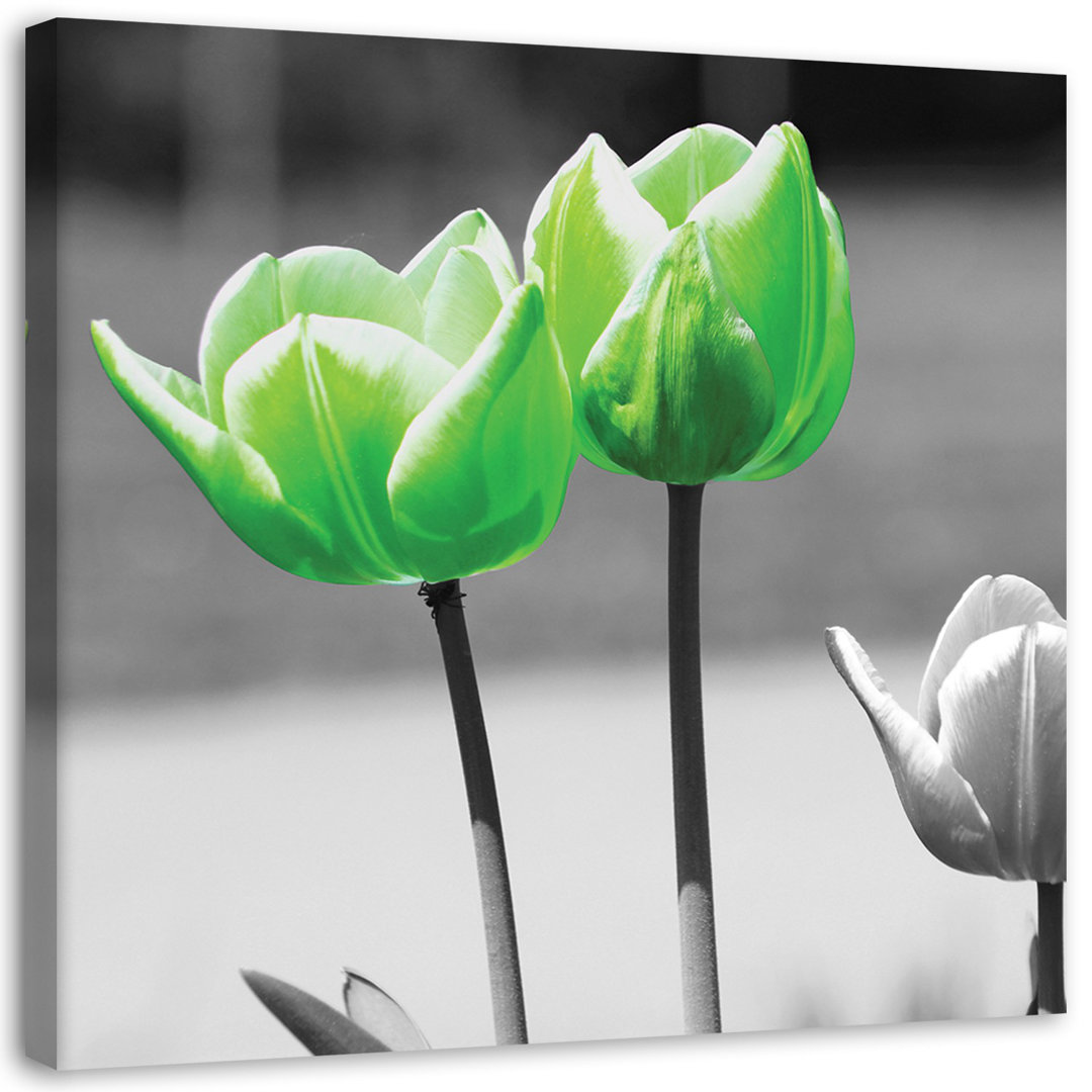 Leinwandbild Green tulips in grey