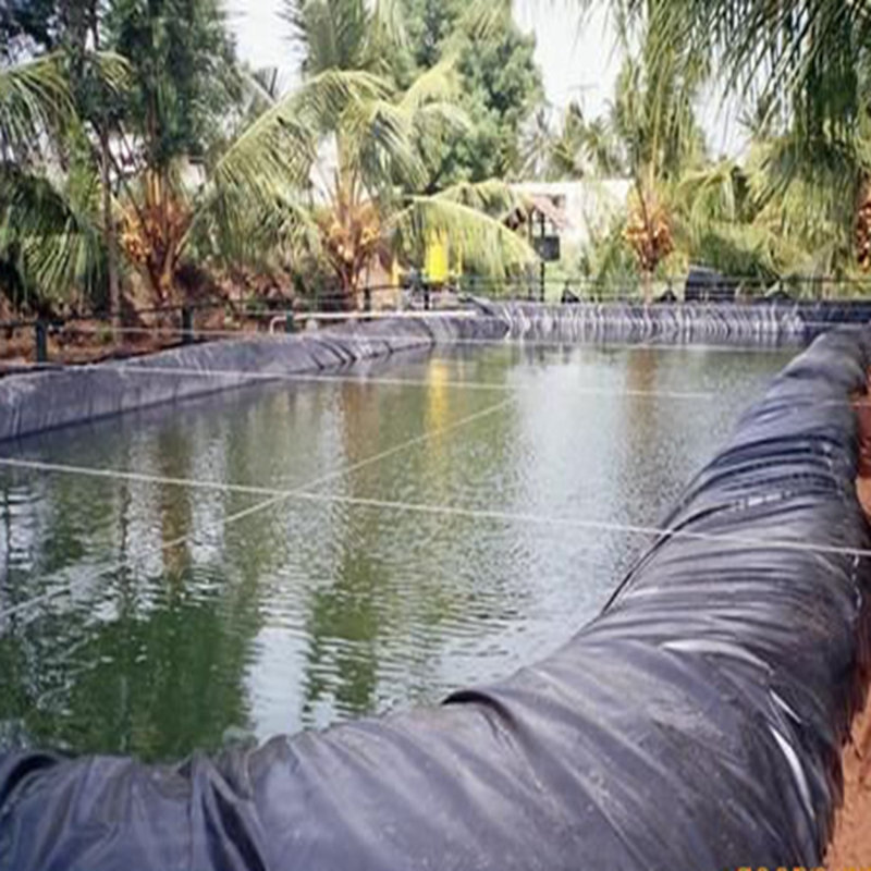 Revêtements de bassin en PVC, l 137,8 po x P 98,43 po