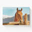 «Equestian Solace», grande impression sur toile-1163929592