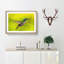 Hummingbird in Costa Rica - Picture Frame Painting Print-56711965-56711964
