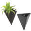Ceramic Wall Planter