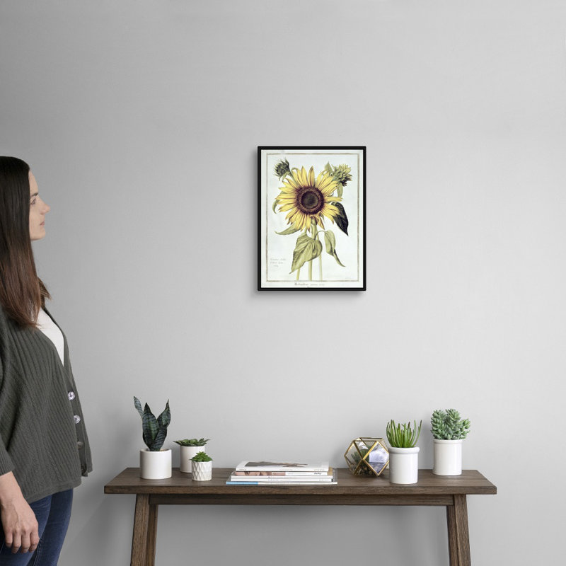 Helianthus Annuus (tournesol), art mural sur toile, H 12 po x l 16 po x P 1,75 po, Cadre noir