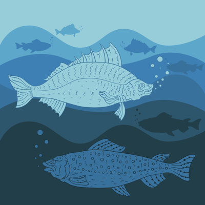 Sea Life par Yougen