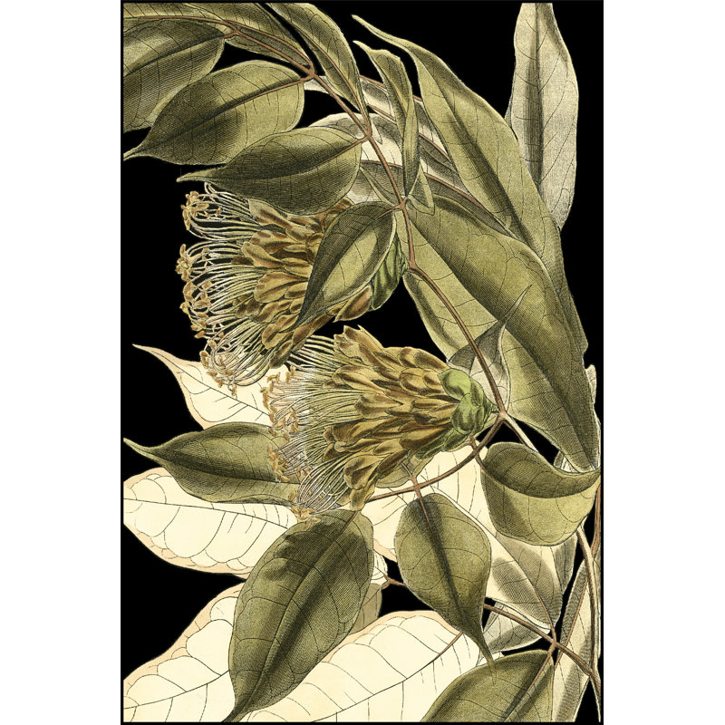 Tranquil Tropical Leaves VI 1 Piece Wrapped Canvas Wall Art, 30cm H x 20cm W x 3.8cm D