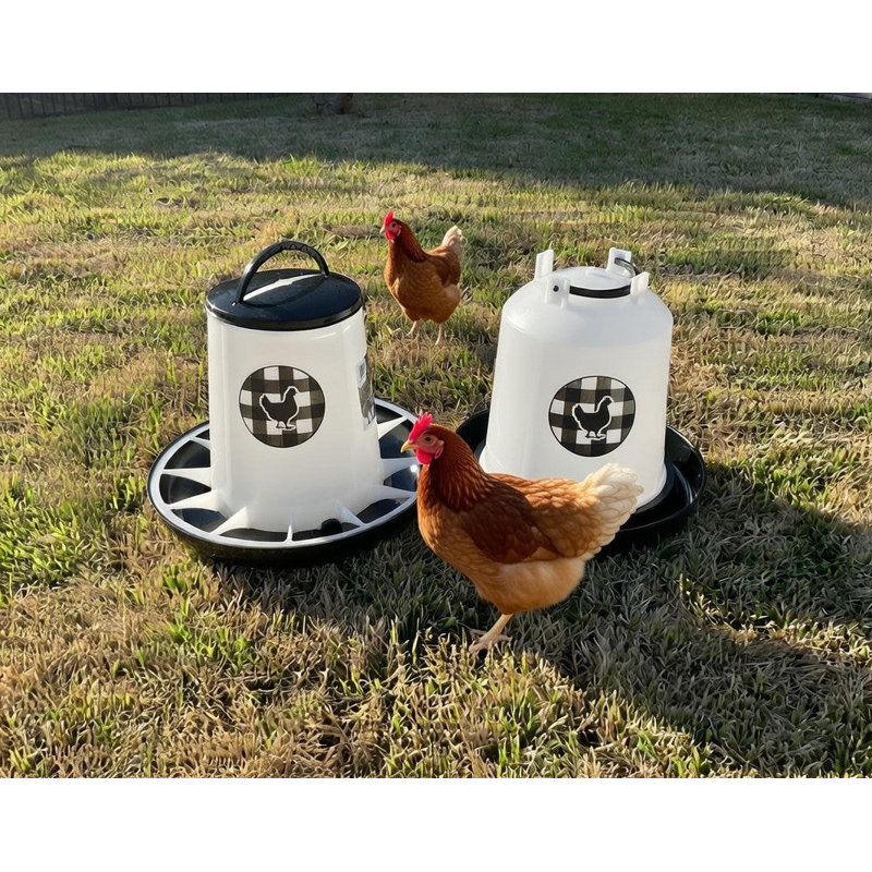 Zylina Waterer 1.5 Gallon and Feeder 13 lbs Combo - Black, Black