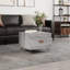 Chonie Four Leg Coffee Table with Storage-504329874