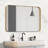 Eitzen Rectangle Wall Mirror High-Strength Tempered Glass and  Stainless Steels Framed Wall Mirror Accent Mirror-216028334-214045590