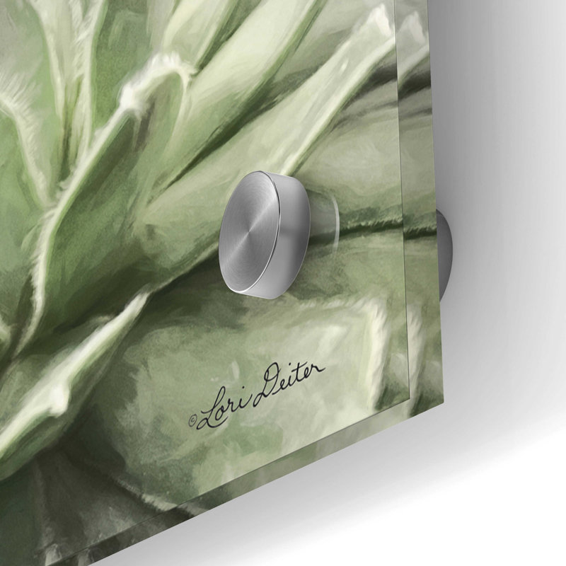 «Soft Succulents I» par Lori Deiter, art mural en verre acrylique, H 24 po x l 48 po x P 0,2 po