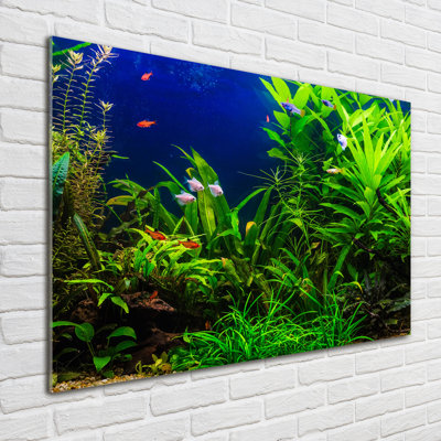 Fish in the Aquarium - Unframed Art Prints on Glass