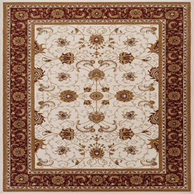 2' X 3' Area Rug