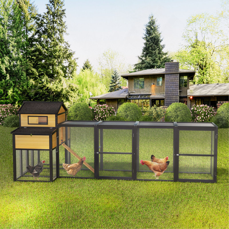 Grand poulailler en bois noir de 150 po avec poules et nichoirs, plateau coulissant, porte coulissante, grillage antidérapant pour 4 à 6 poules