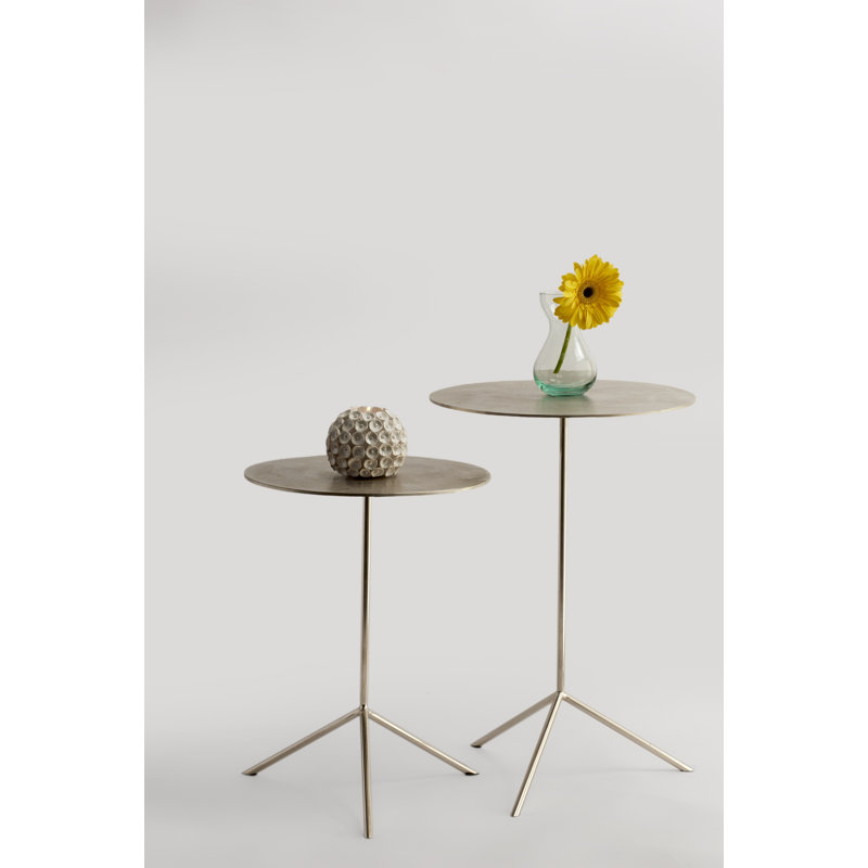 Alesha 2 Piece Nesting Tables, Brass