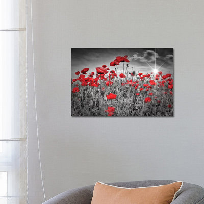 " Idyllic Field Of Poppies With Sun " by Melanie Viola