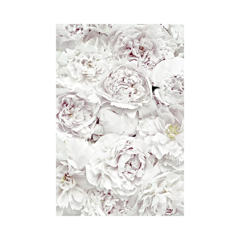 Flowers Peony White by Monika Strigel - Wrapped Canvas Print, 20.32 cm H x 30.48 cm W