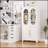 Metal Decorative Office Filing Storage Cabinet with Lock and Adjustable Shelves, Perfect for Organized and Stylish Workspaces-1034350950-1034350948