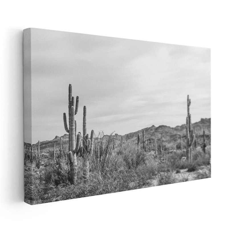 «Sonoran Wonderland Black and White», reproduction d'art sur toile, H 20 po x l 30 po