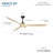 Pierce 65" Led Smart Ceiling Fan-116794811-116794814